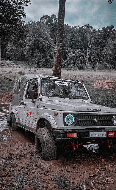 快船输给骑士掉到第八名，看似岌岌可危，也不用太担心​.