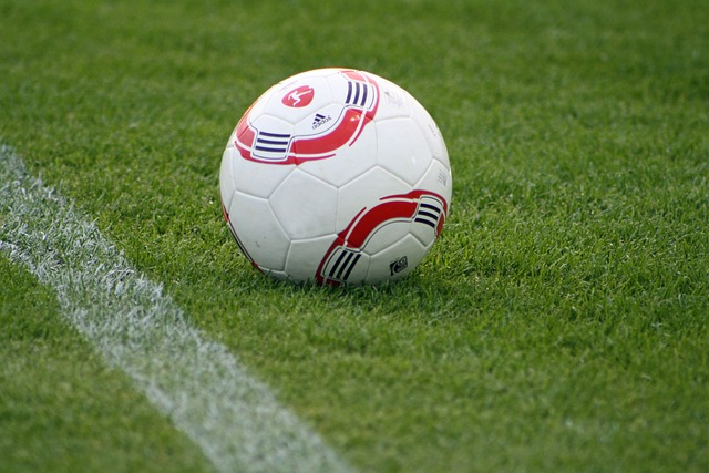 湖人遭绝杀，117-119惜败，排名第4，灰熊失利，喜忧交织.