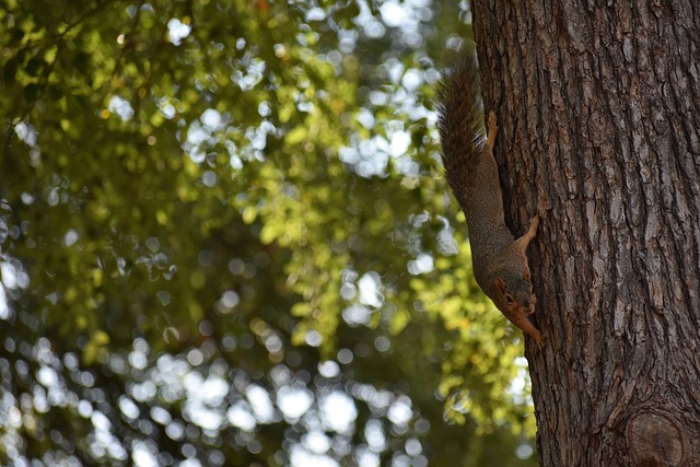 让我们走近 让我们走近