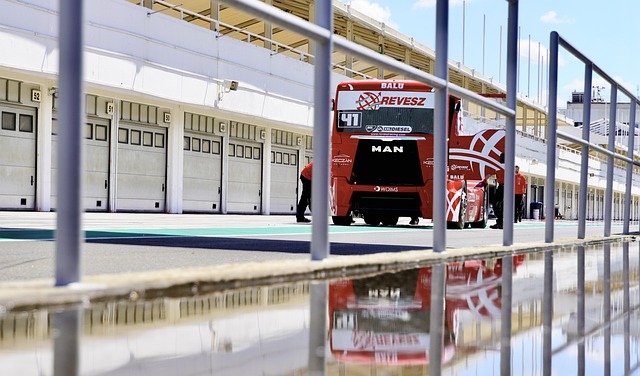 支国家队的 支国家队的