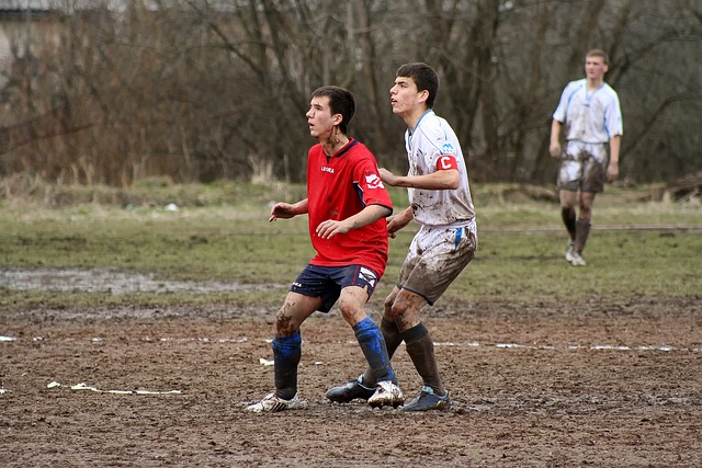 主场的表现 主场的表现