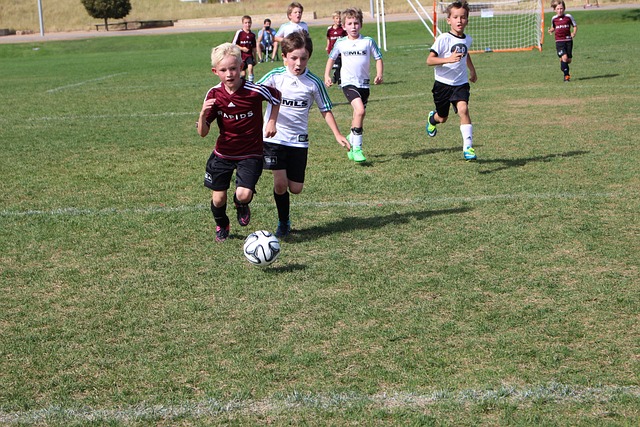 籃球場上的 籃球場上的